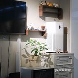 which mood🪀green mood