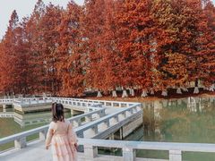 -白塘生态植物园