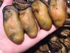 -清平中药材专业市场