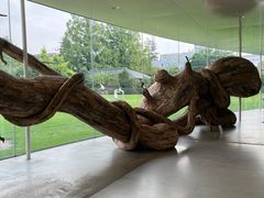 -金泽21世纪美术馆