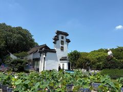 -无锡蠡湖国家湿地公园-蠡园