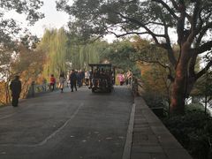-苏堤停车场