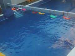 -酷游亲子游泳中心