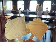 -武汉知音号