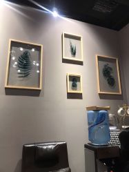 -三只熊皮肤管理中心