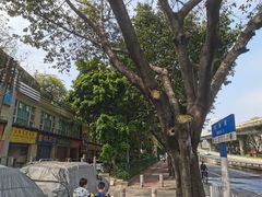 -小象钓虾·营地烧烤(洛溪店)