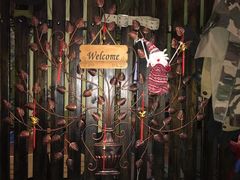 -青松大叔的店(东财店)