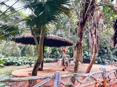 -海南热带野生动植物园