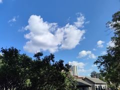 -张学良旧居陈列馆(大帅府)