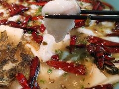 -姚姚酸菜鱼·金戈戈香港豉油鸡(喜荟城联名店)