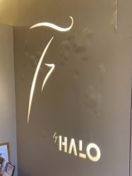 -Halo FLY运动空间