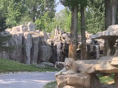 -北京野生动物园