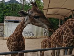 -泉州海丝野生动物世界