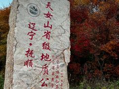 -天女山森林公园