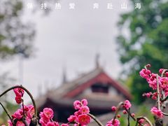 -成都杜甫草堂博物馆