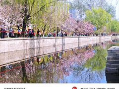 -海棠花溪(元大都城垣遗址公园)