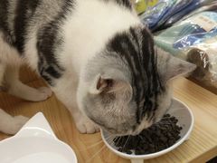-袖虎宠物(锦绣生态园店)