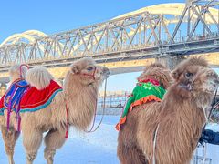 -人民防洪胜利纪念塔