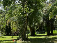 -中国科学院西双版纳热带植物园