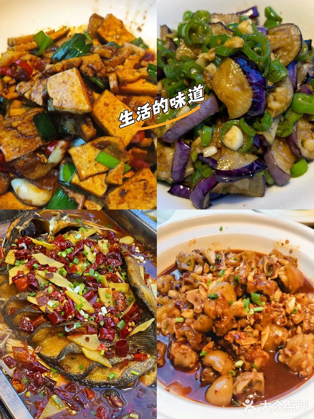 特色菜今日之选