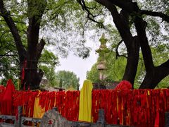 -大槐树寻根祭祖园