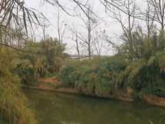 -白鹭湾湿地公园