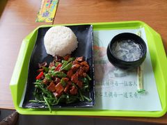-上海野生动物园老虎餐厅