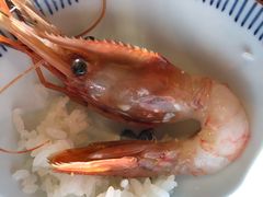 -札幌二条市场 大矶(本店)