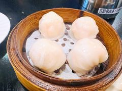 添运来虾饺皇-添运来(茶园奥园广场店)