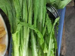 -章记正宗南岗鱼蛋火锅