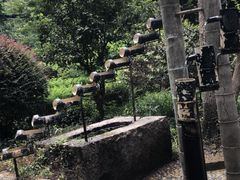 -大奇山国家森林公园