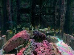 -沈阳海洋探索中心