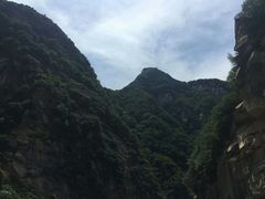 -王顺山国家森林公园