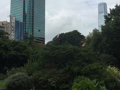 -九龙公园