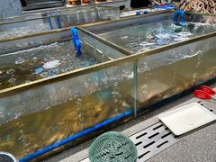 -半岛听涛蒸汽海鲜自助(K11店)