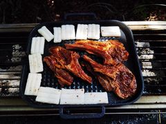 -吴淞炮台湾湿地森林公园烧烤区