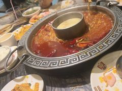 -杨肥肠火锅大排档(火车站花园店)