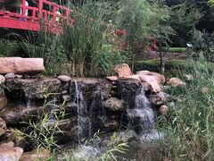 -大连植物园