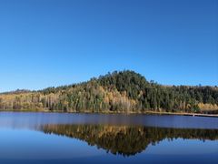 -五营红松林海景区