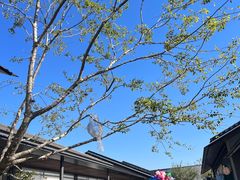 -良渚君澜度假酒店·中餐厅