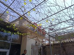 -伊隆斋(什刹海店)