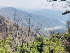 -王顺山国家森林公园