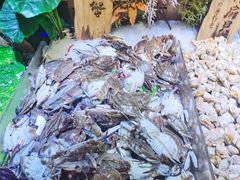 -聚盛源蒸汽海鲜火锅烤肉自助(巨川金海岸购物广场店)