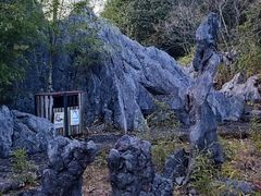-千岛湖石林
