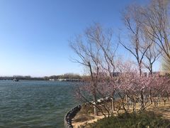 -大兴滨河森林公园