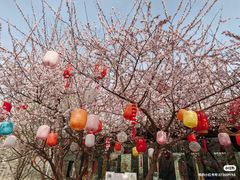 -三里河公园