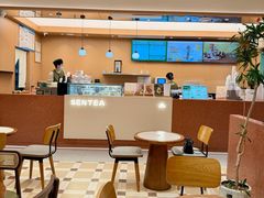 -森茶(湛江万达店)