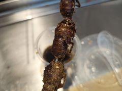 -彭城八戒羊肉串(总店)