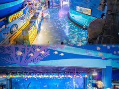 -烟台海昌鲸鲨海洋公园