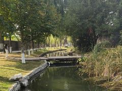 -三里河公园